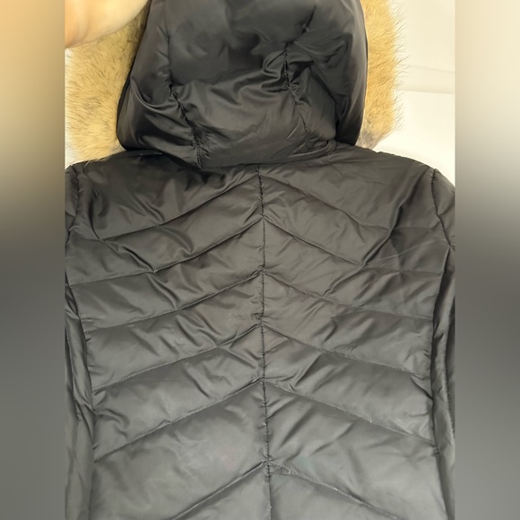 Marc New York down Jacket with removable hood - Picture 12 of 12